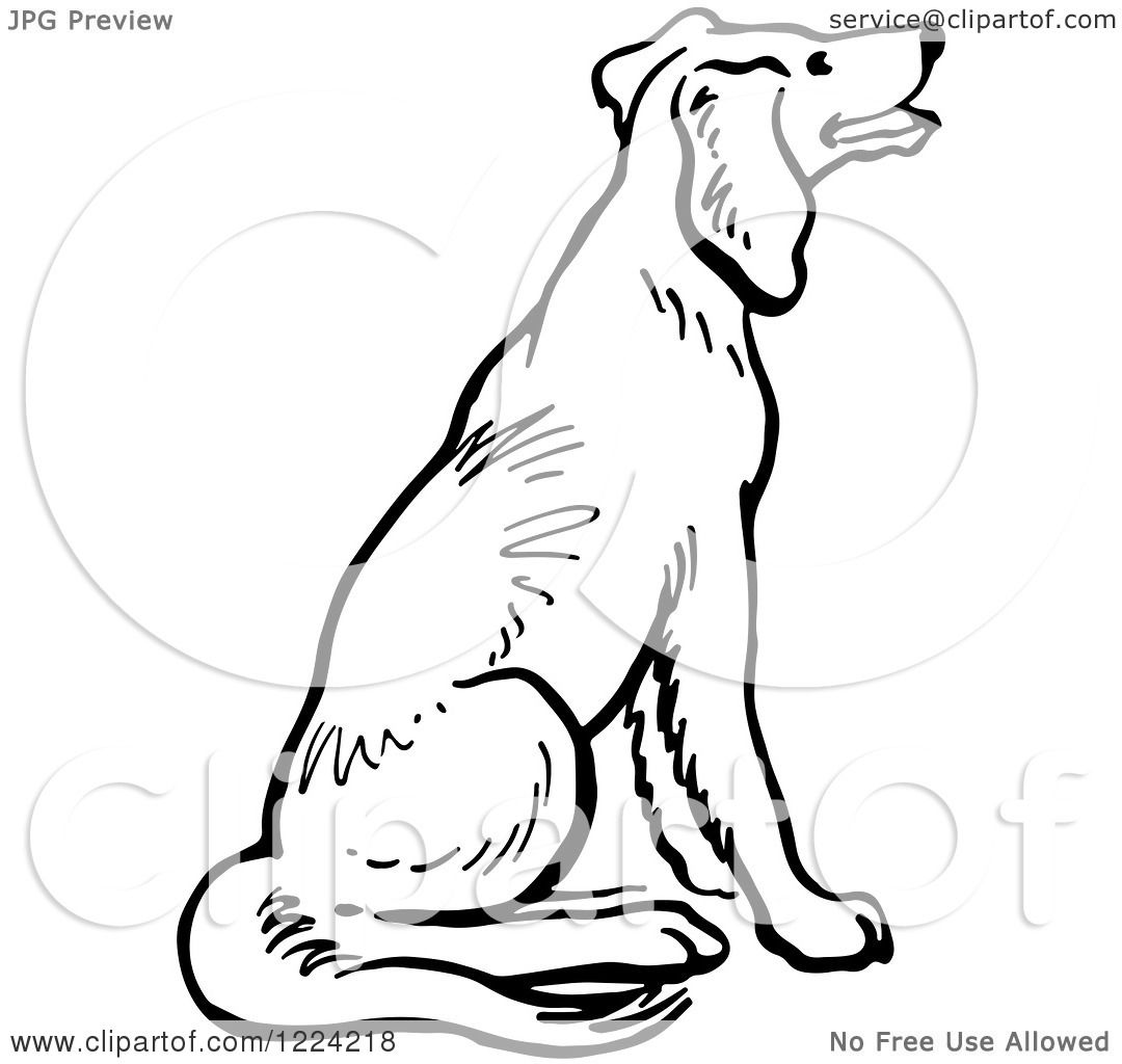 Clipart of a Black and White Happy Sitting Dog Royalty