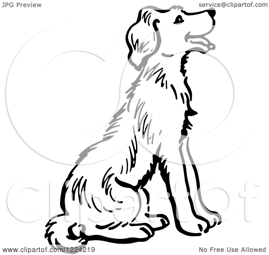 Clipart of a Black and White Happy Sitting Dog Royalty