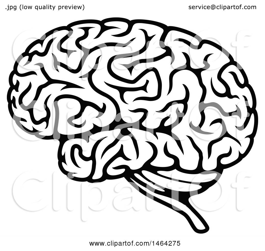 brain black and white clipart