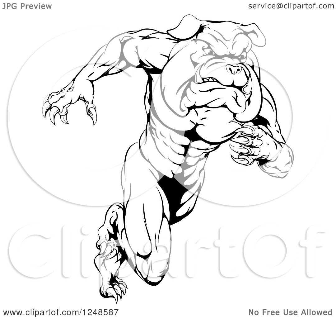 Clipart of a Black and White Muscular Bulldog Mascot Running Upright