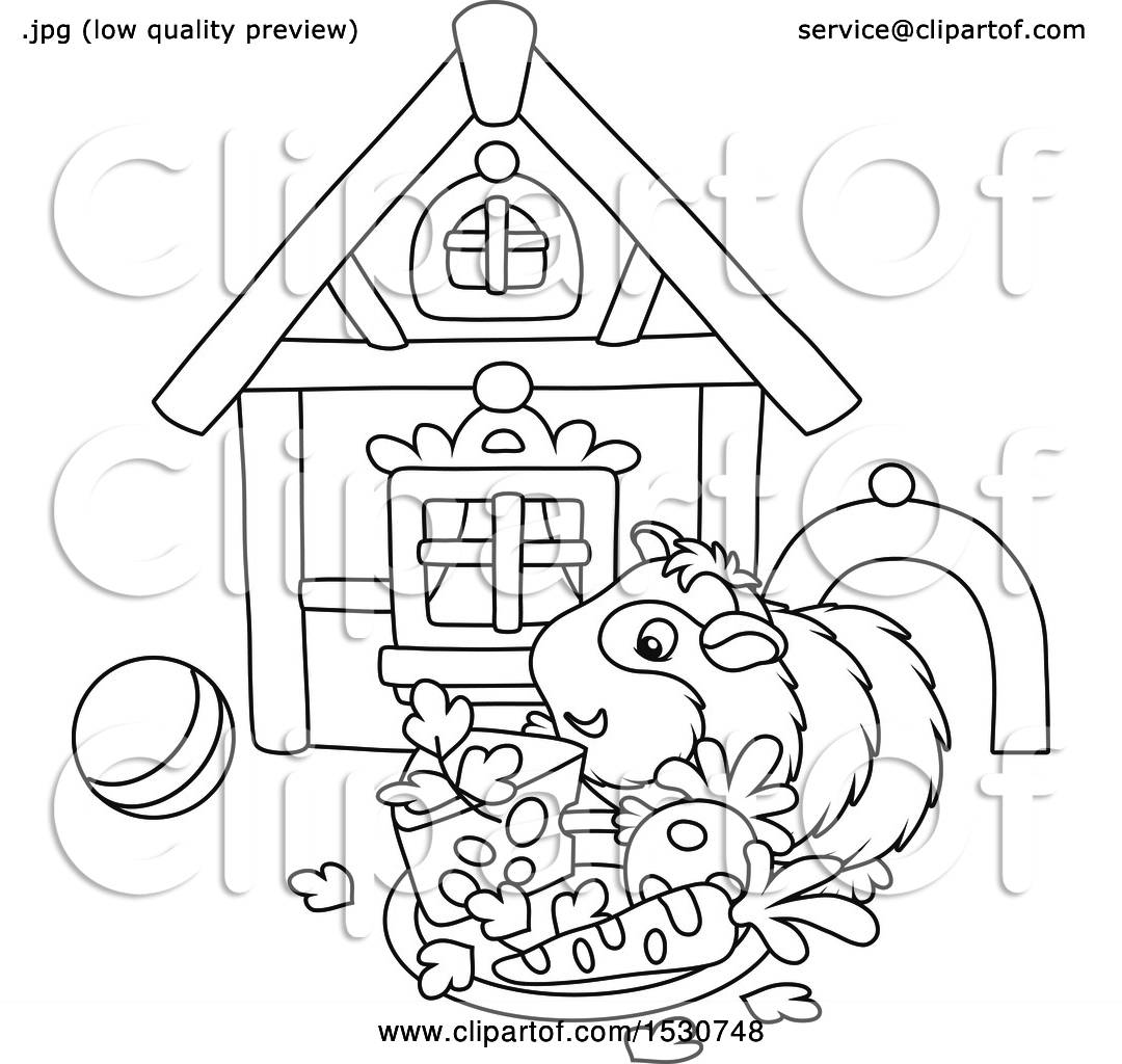 https://images.clipartof.com/Clipart-Of-A-Black-And-White-Pet-Guinea-Pig-With-A-House-Toys-And-Plate-Of-Food-Royalty-Free-Vector-Illustration-10241530748.jpg