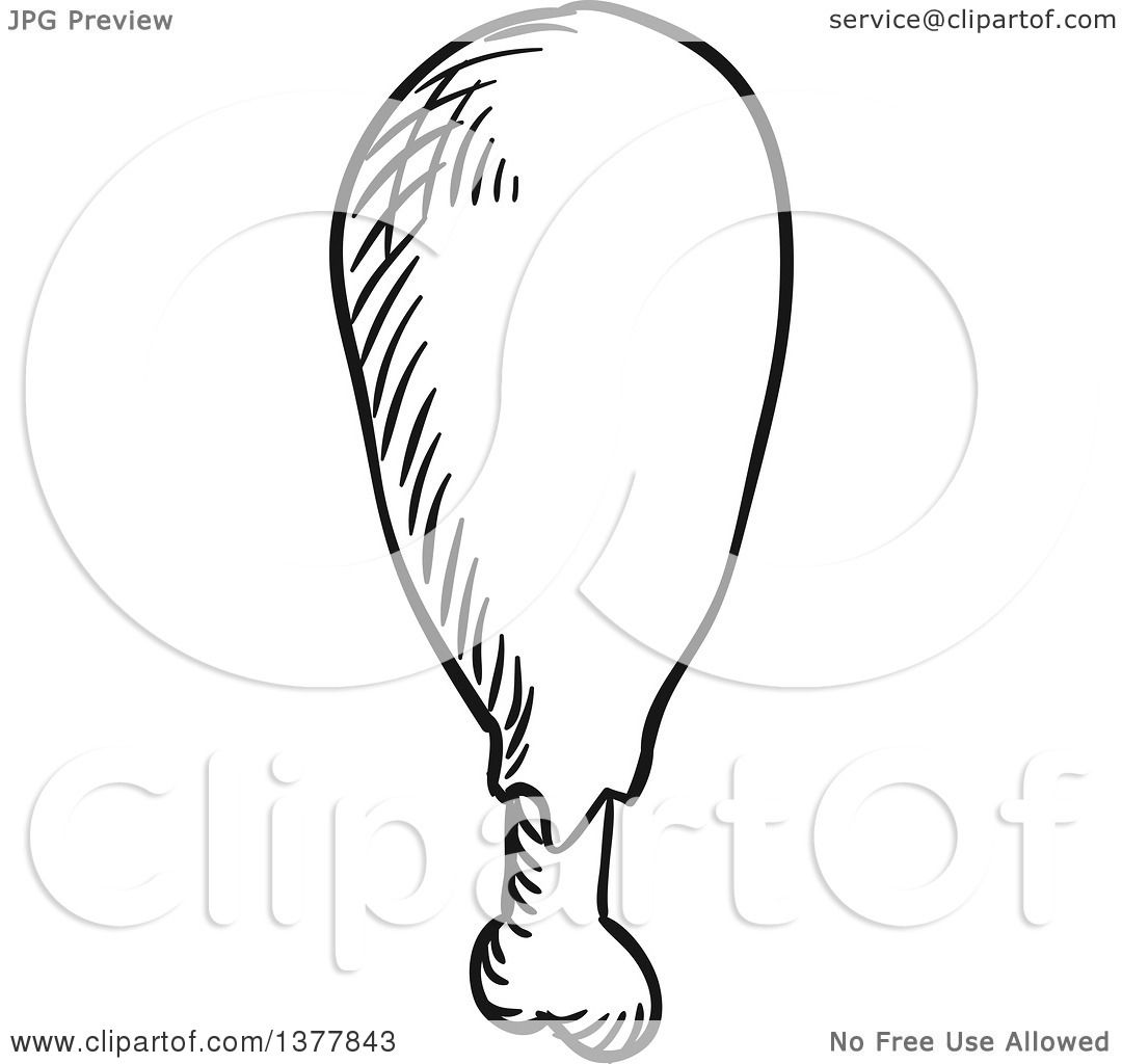 Chicken Leg Hand Drawn Vector Illustration, Leg Drawing, Leg Sketch, Autumn  PNG and Vector with Transparent Background for Free Download