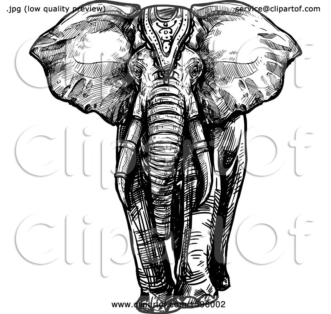 Clipart of a Black and White Sketched Elephant - Royalty ...