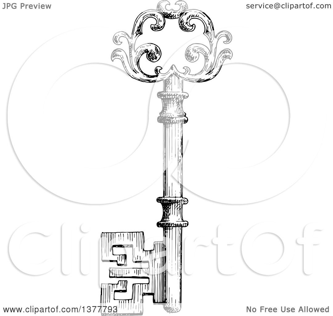 Download Clipart of a Black and White Sketched Skeleton Key ...