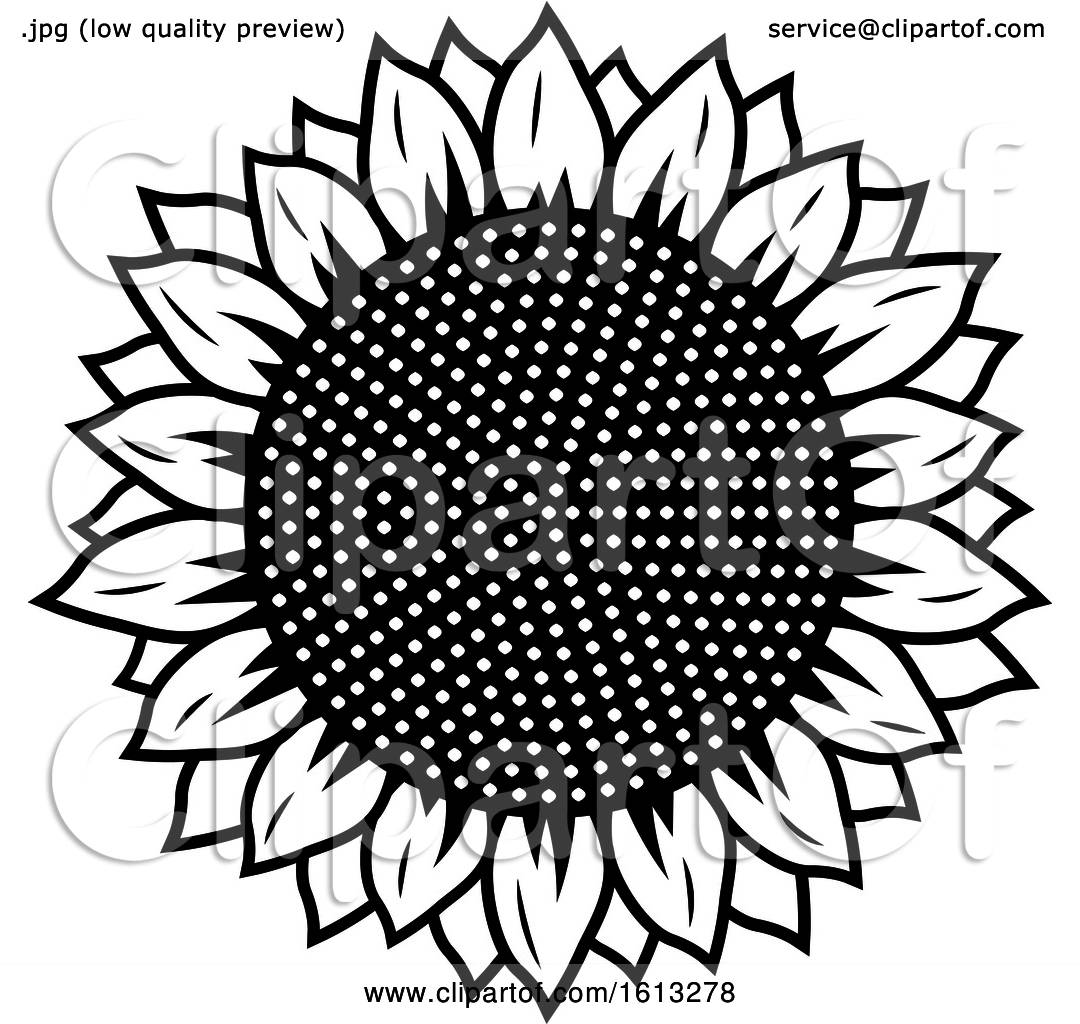 Clipart of a Black and White Sunflower Head - Royalty Free Vector  Illustration by Vector Tradition SM #1613278