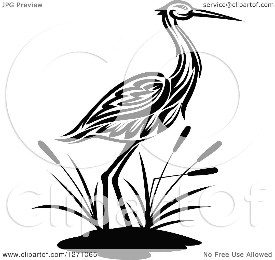 Clipart of a Black and White Wading Tribal Crane Bird with Cattails ...