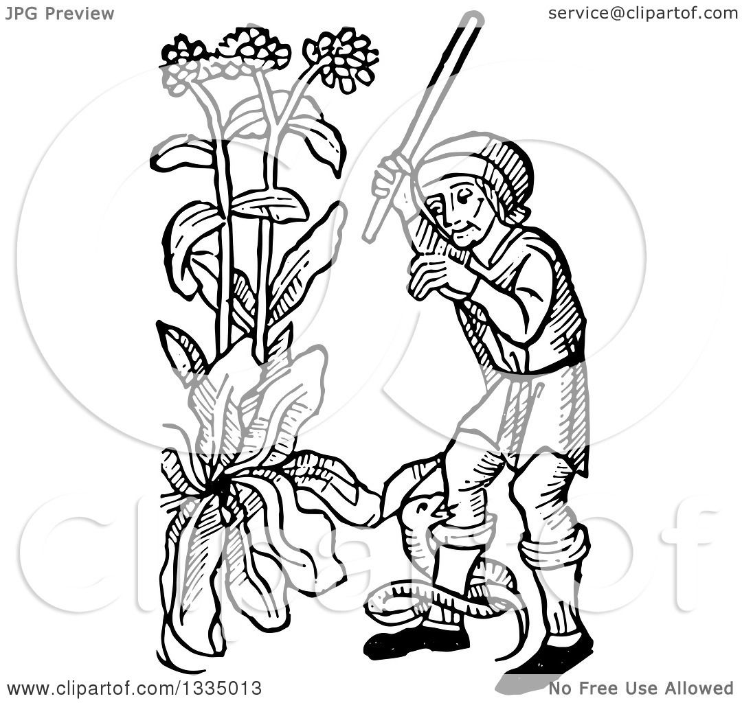 Clipart of a Black and White Woodcut Medieval Man Swinging at a Snake ...