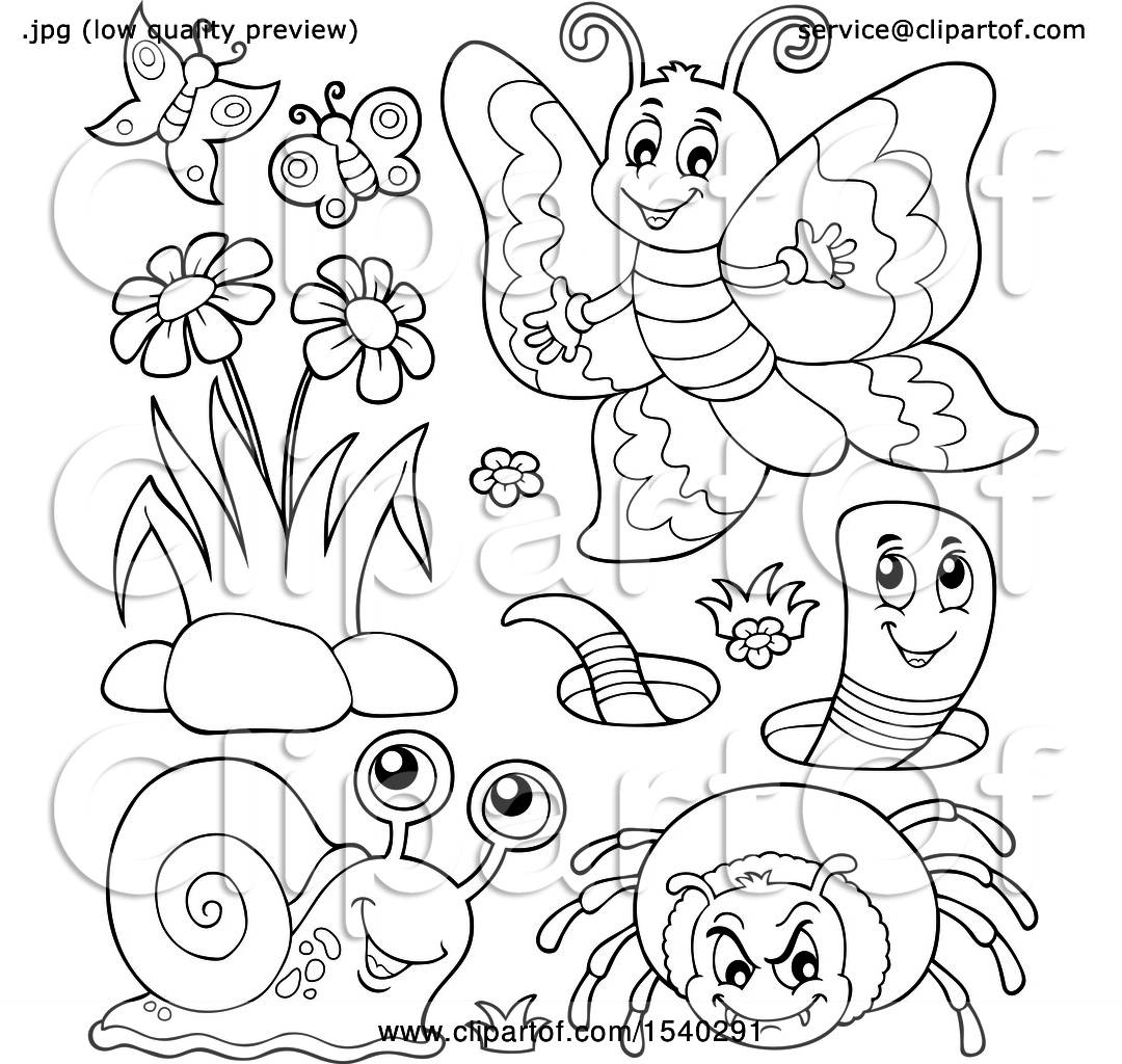 Clipart of a Butterfly, Worm, Spider and Snail - Royalty Free Vector ...