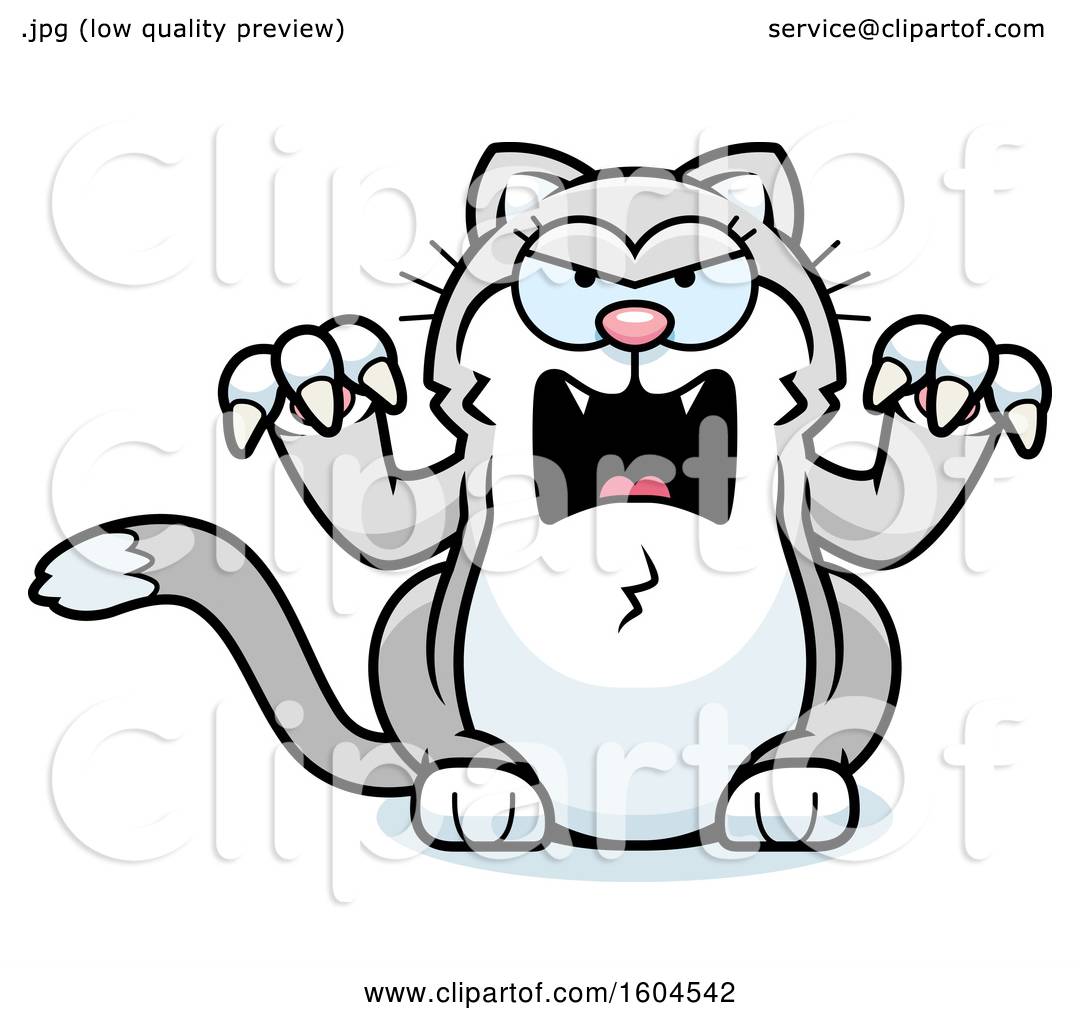Angry kitten Stock Photos, Royalty Free Angry kitten Images