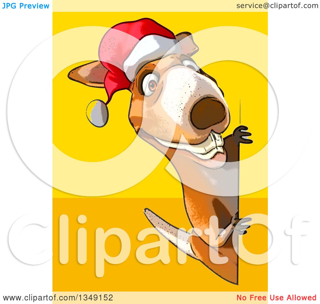 santa kangaroo clipart