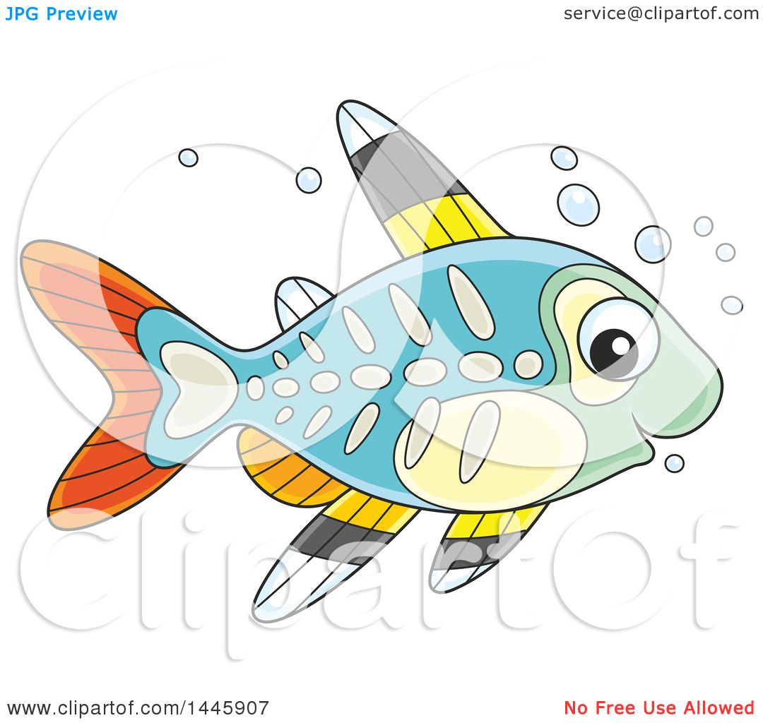 xray fish clip art
