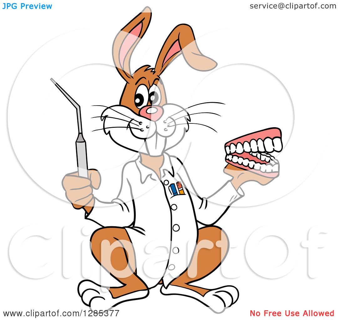 Clipart of a Cartoon Dentist Rabbit Holding a Pick and Set of Teeth -  Royalty Free Vector Illustration by LaffToon #1285377