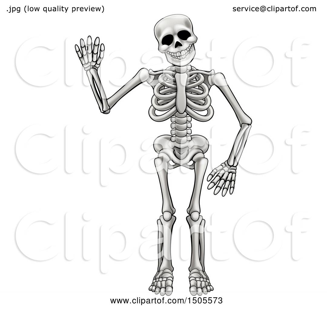 cartoon human bones