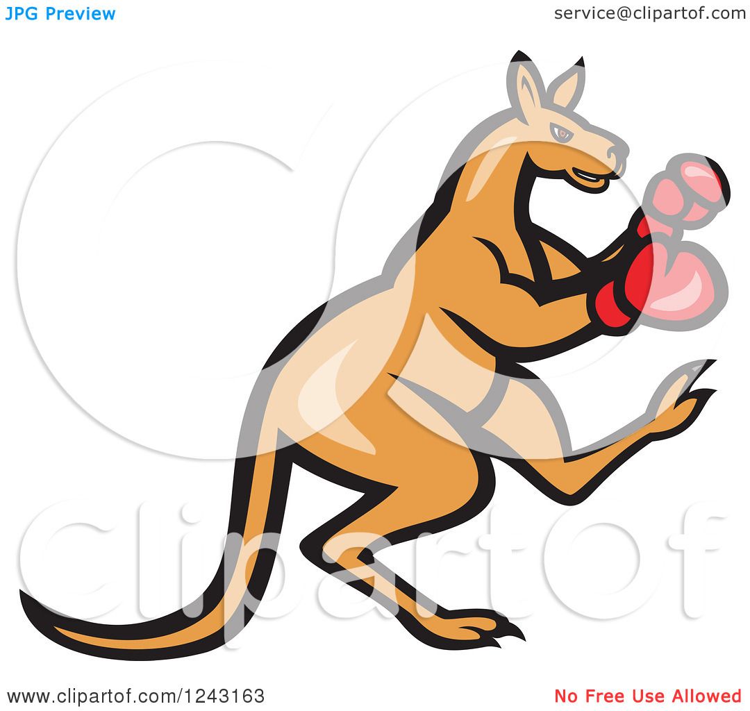 free clipart boxing kangaroo - photo #29
