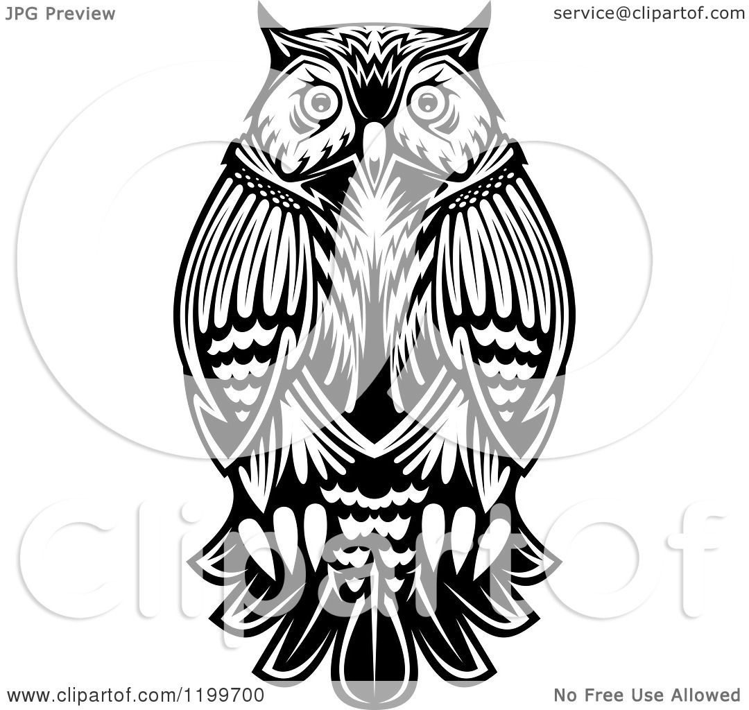 Clipart of a Chubby Black and White Owl - Royalty Free ...