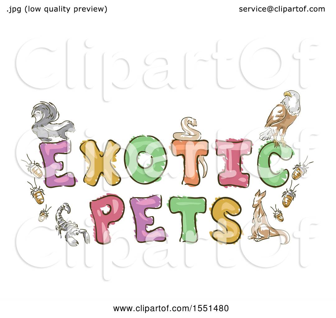 exotic pets studio