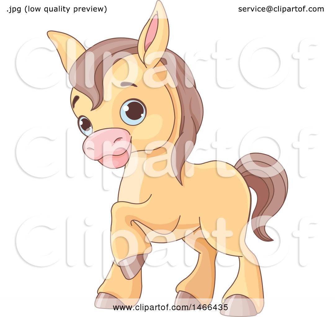 Download Clipart of a Cute Baby Horse - Royalty Free Vector ...