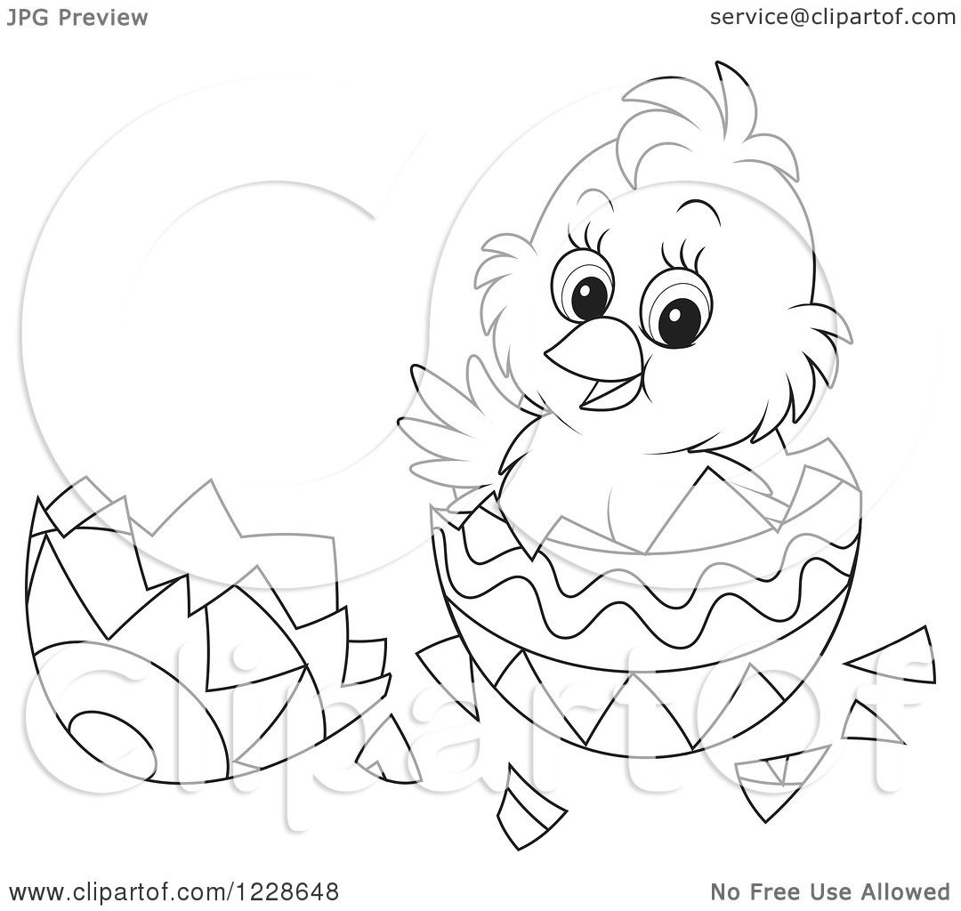 Clipart Of A Cute Black And White Chick Hatching From An Easter Egg Royalty Free Vector
