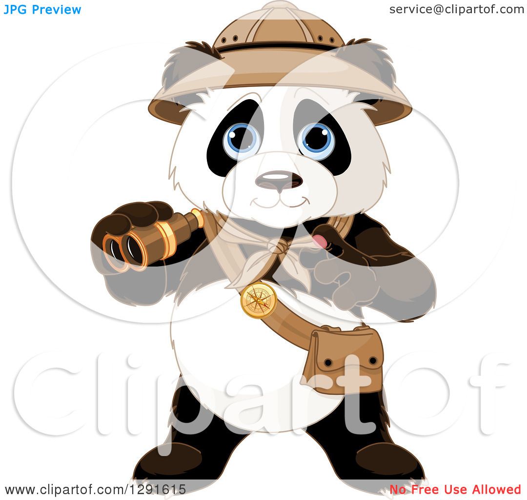 Clipart of a Cute Explorer Expedition Panda Holding Binoculars ...