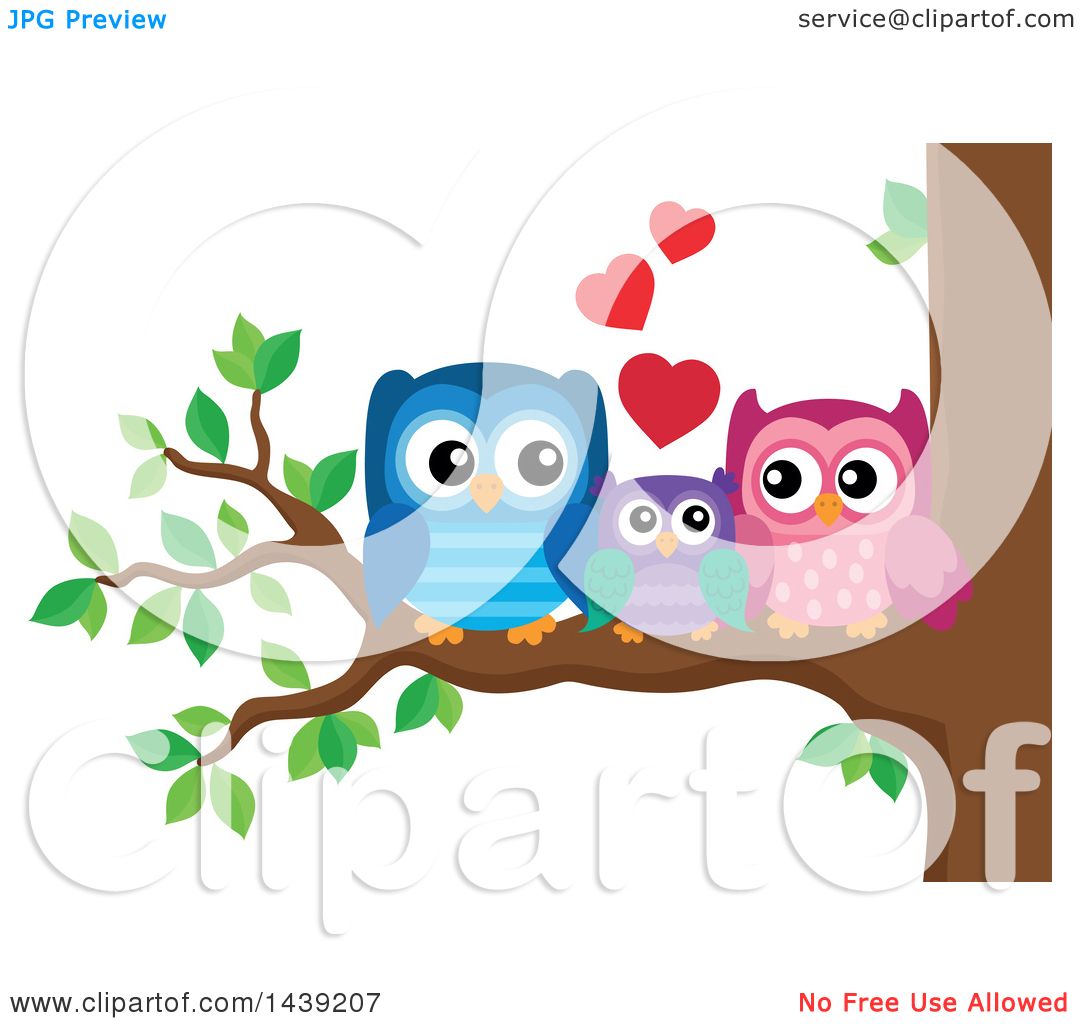 free owl family clipart - photo #39