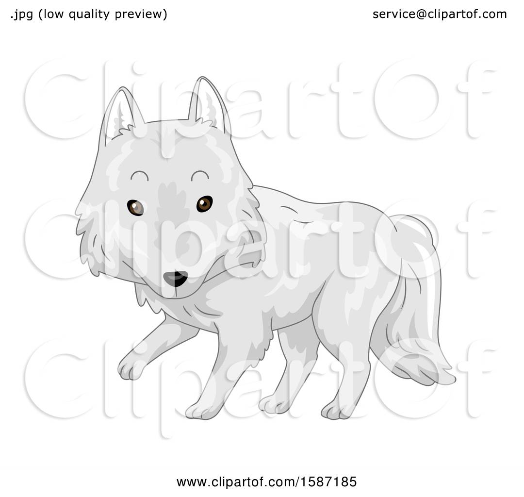 arctic wolf clipart