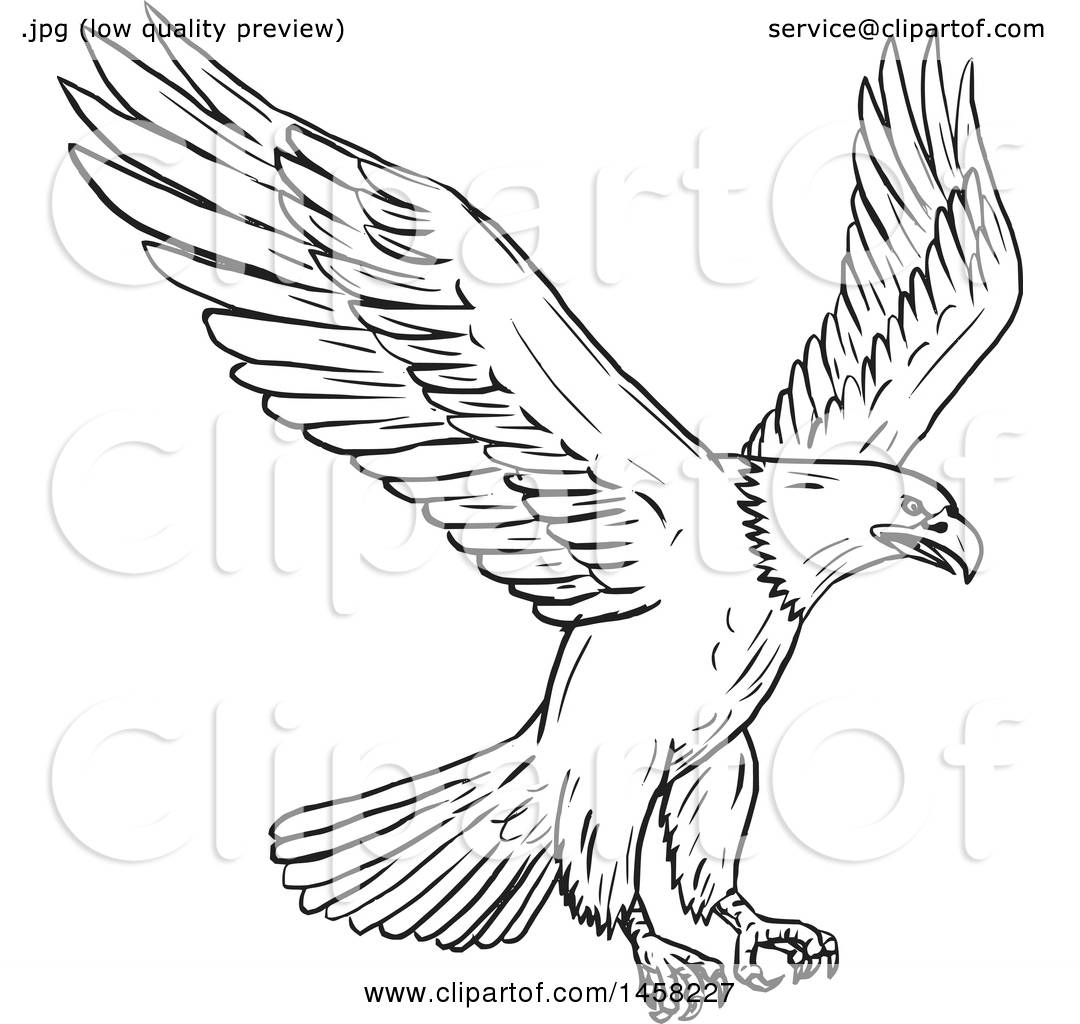 free eagle black and white clipart images