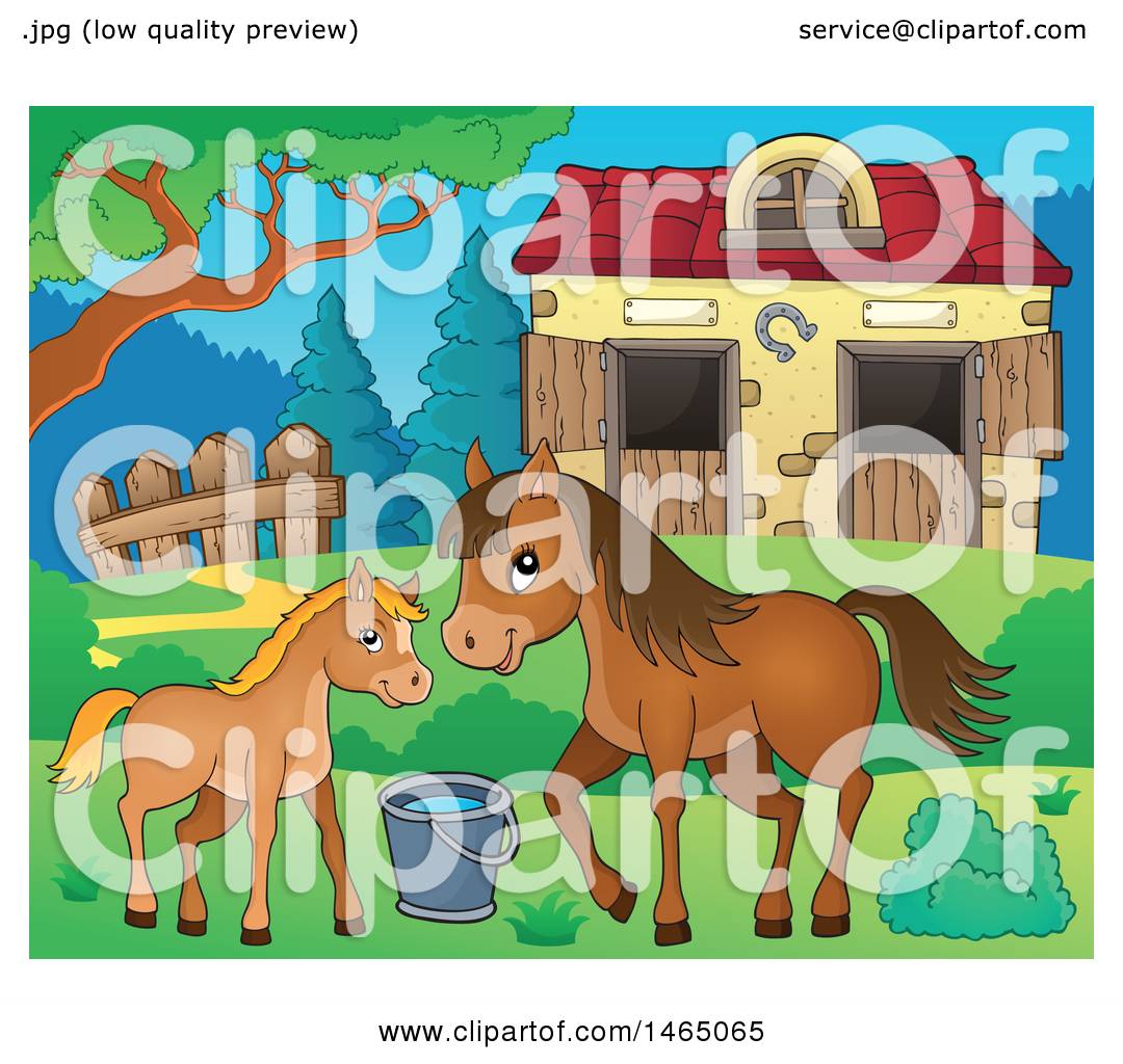 foal clipart