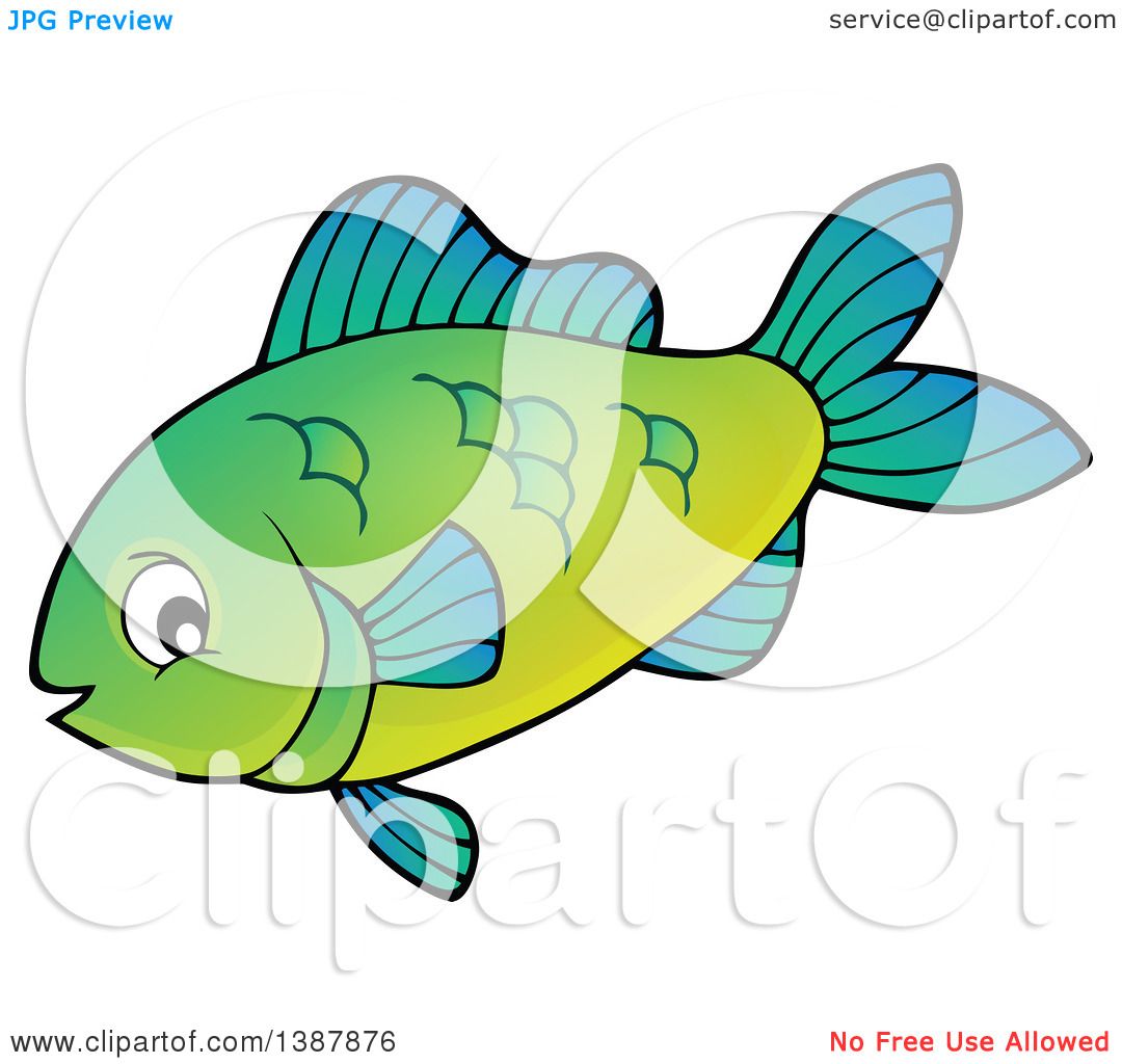 Download Clipart of a Green Saltwater Marine Fish - Royalty Free ...