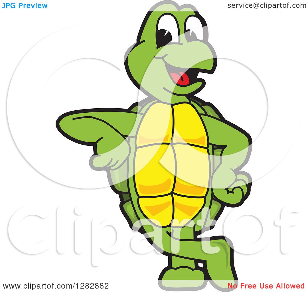 Вперед в черепахе. Веселая черепашка. Веселые Черепашки для детей. Черепаха логотип. Черепаха вперед.