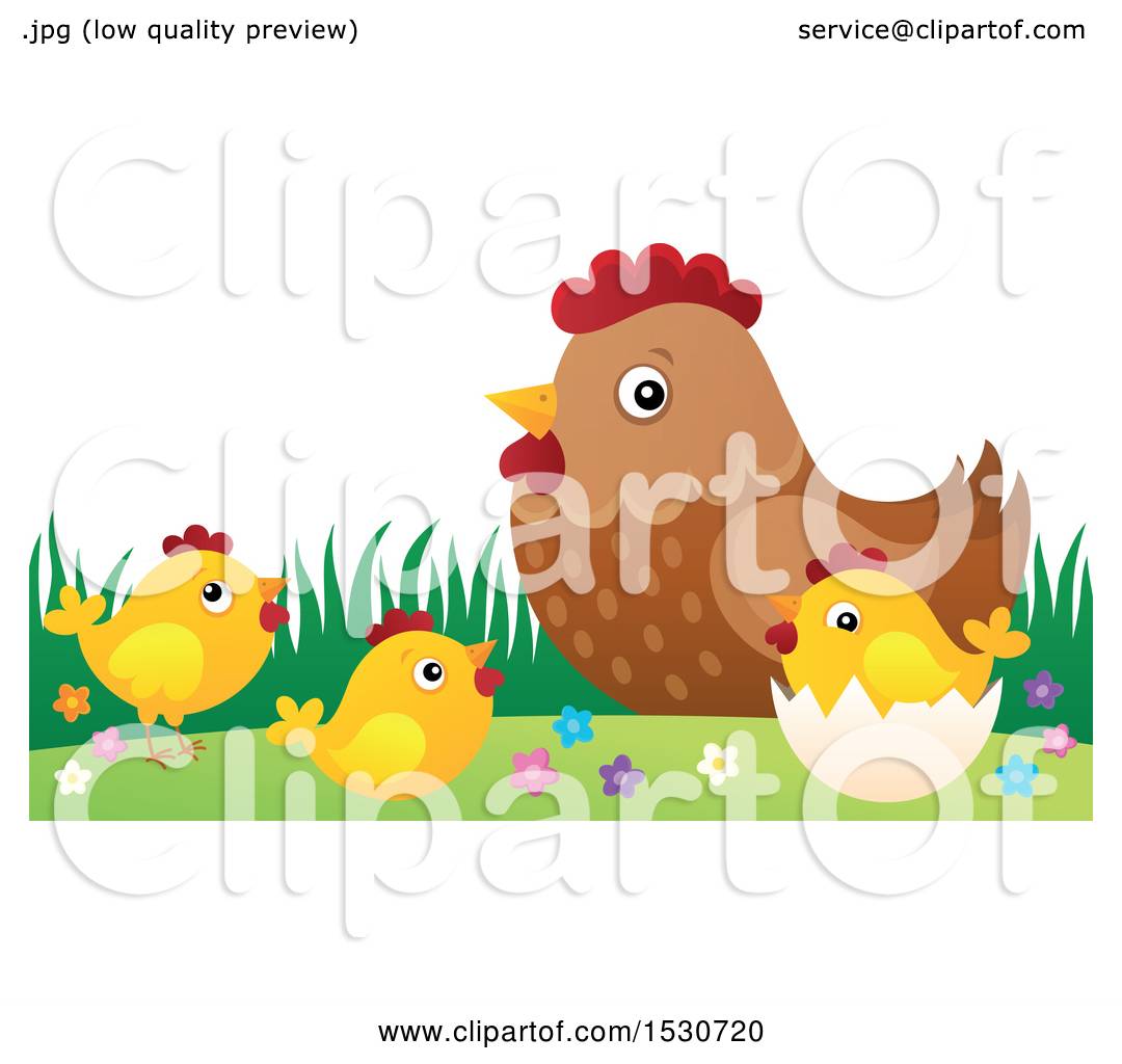 Clipart of a Mother Hen and Chicks - Royalty Free Vector Illustration by visekart #1530720