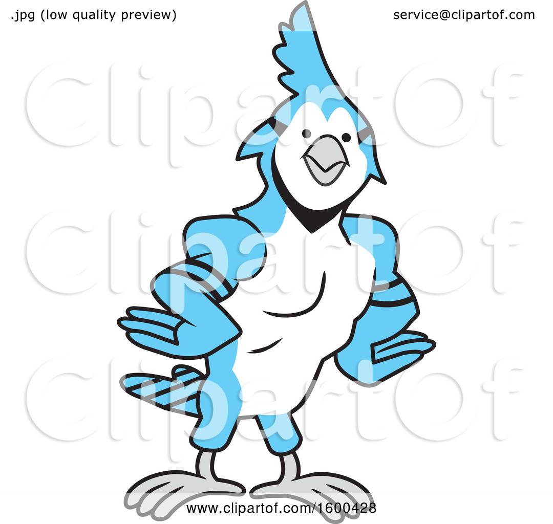 Clipart of a Muscular Blue Jays Bird School Mascot - Royalty Free