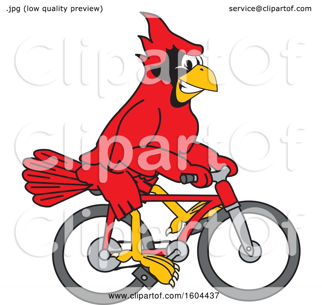 bird riding bike