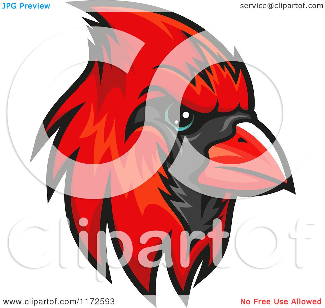 Cartoon Vector Mascot Image Of A Cardinal Or Red Bird Head Royalty