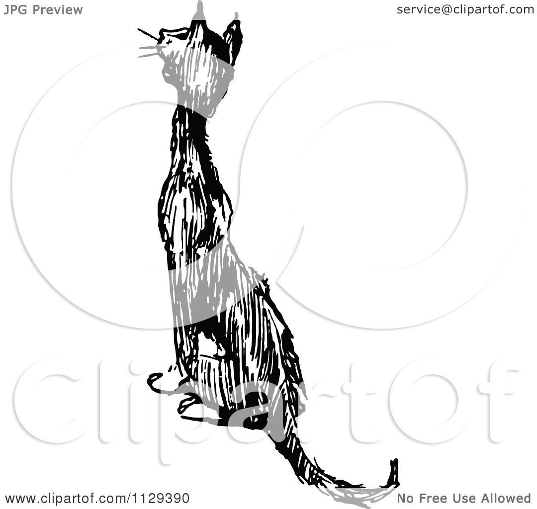 Clipart Of A Retro Vintage Black And White Cat Meowing And Sitting Royalty Free Vector Illustration By Prawny Vintage 1129390,Homemade Chinchilla Toys