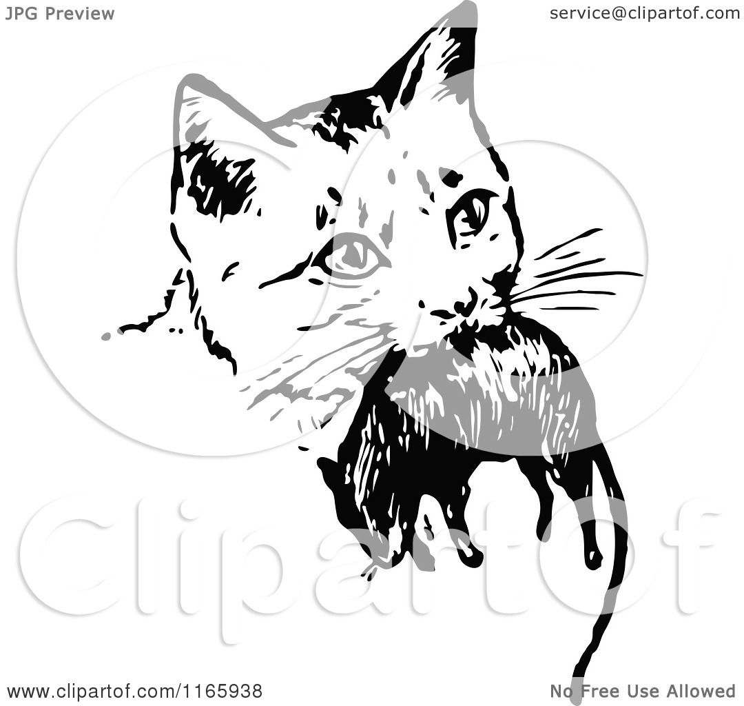 Clipart Of A Retro Vintage Black And White Cat With A Mouse Royalty Free Vector Illustration By Prawny Vintage