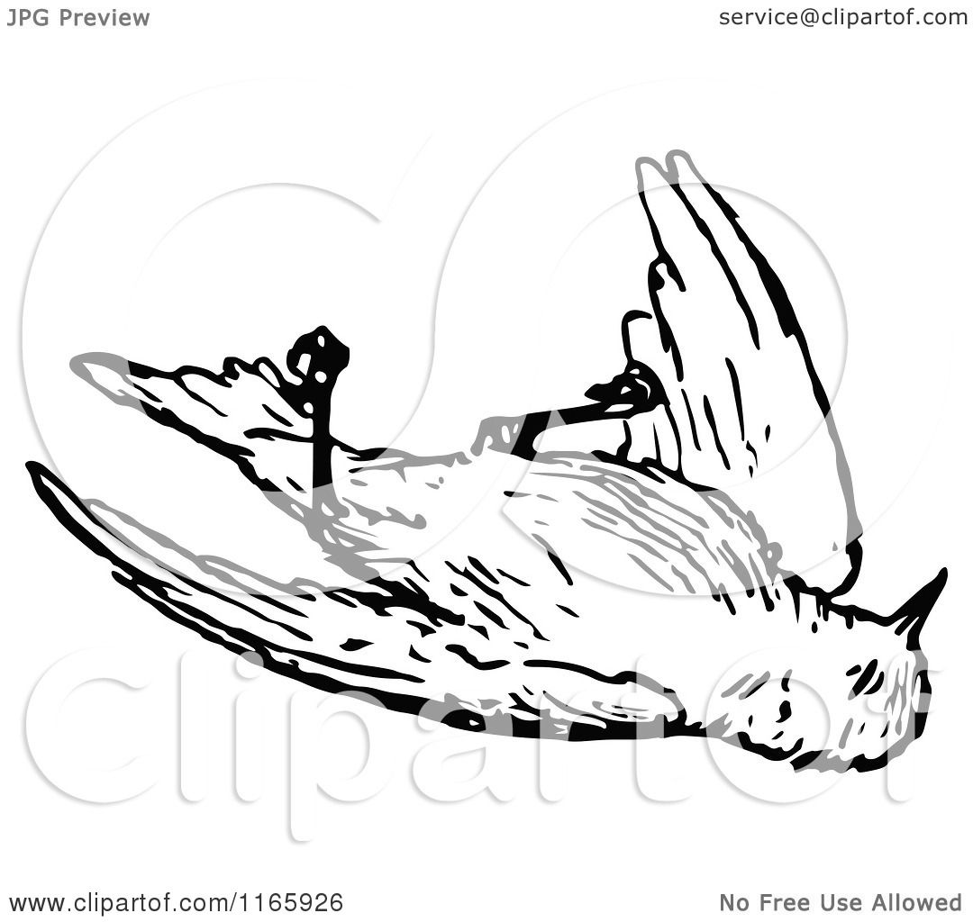 Clipart of a Retro Vintage Black and White Dead Bird ...