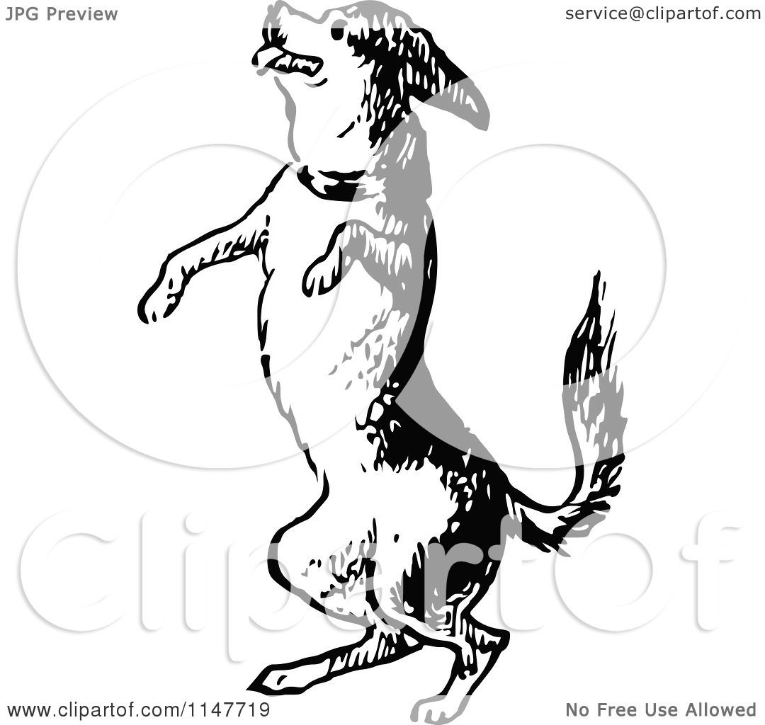 Clipart of a Retro Vintage Black and White Jumping Dog ...