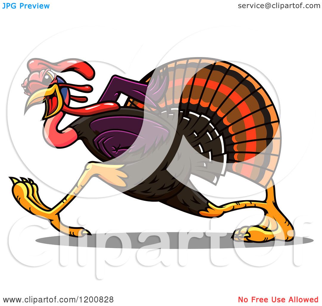 running turkey vector