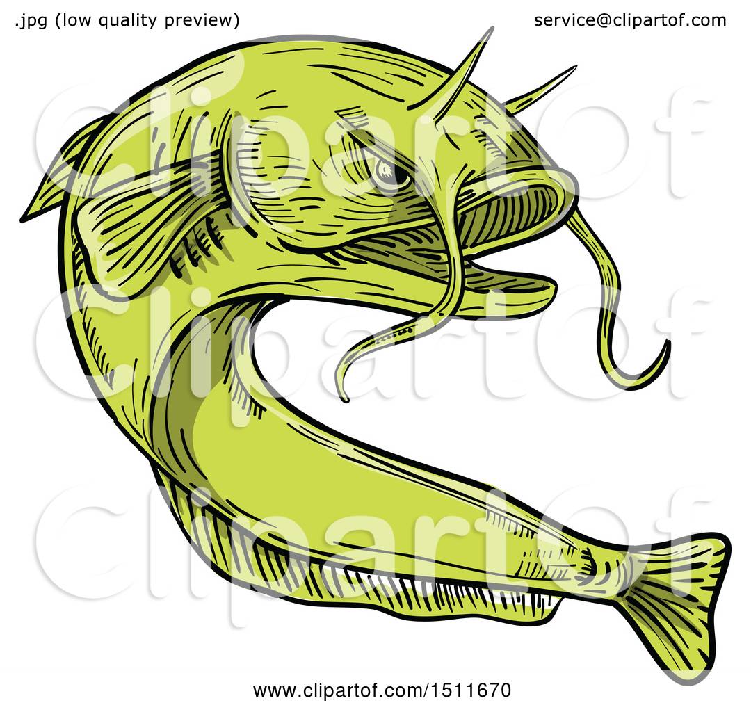 Clipart of a Sketched Green Giant Devil Catfish Goonch - Royalty Free  Vector Illustration by patrimonio #1511670