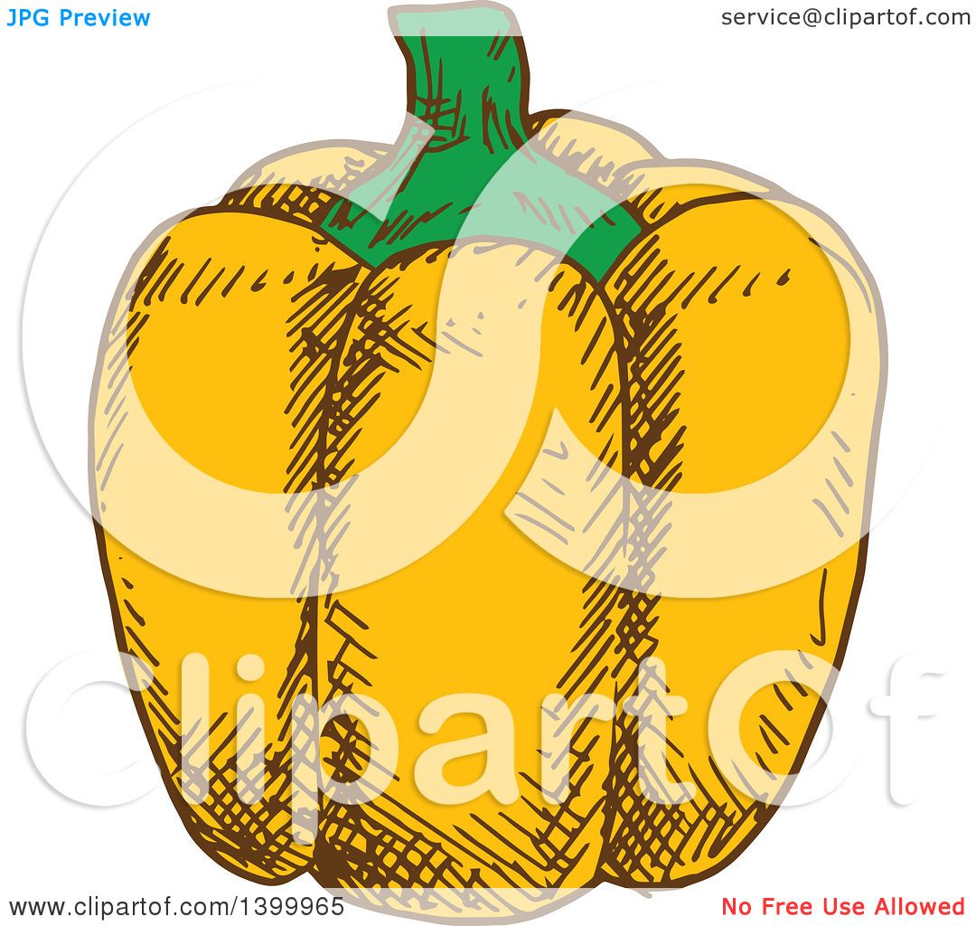 Clipart of a Sketched Yellow Bell Pepper - Royalty Free Vector