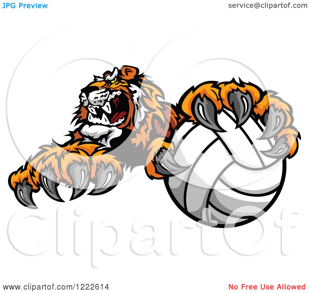 tiger volleyball clipart - photo #22