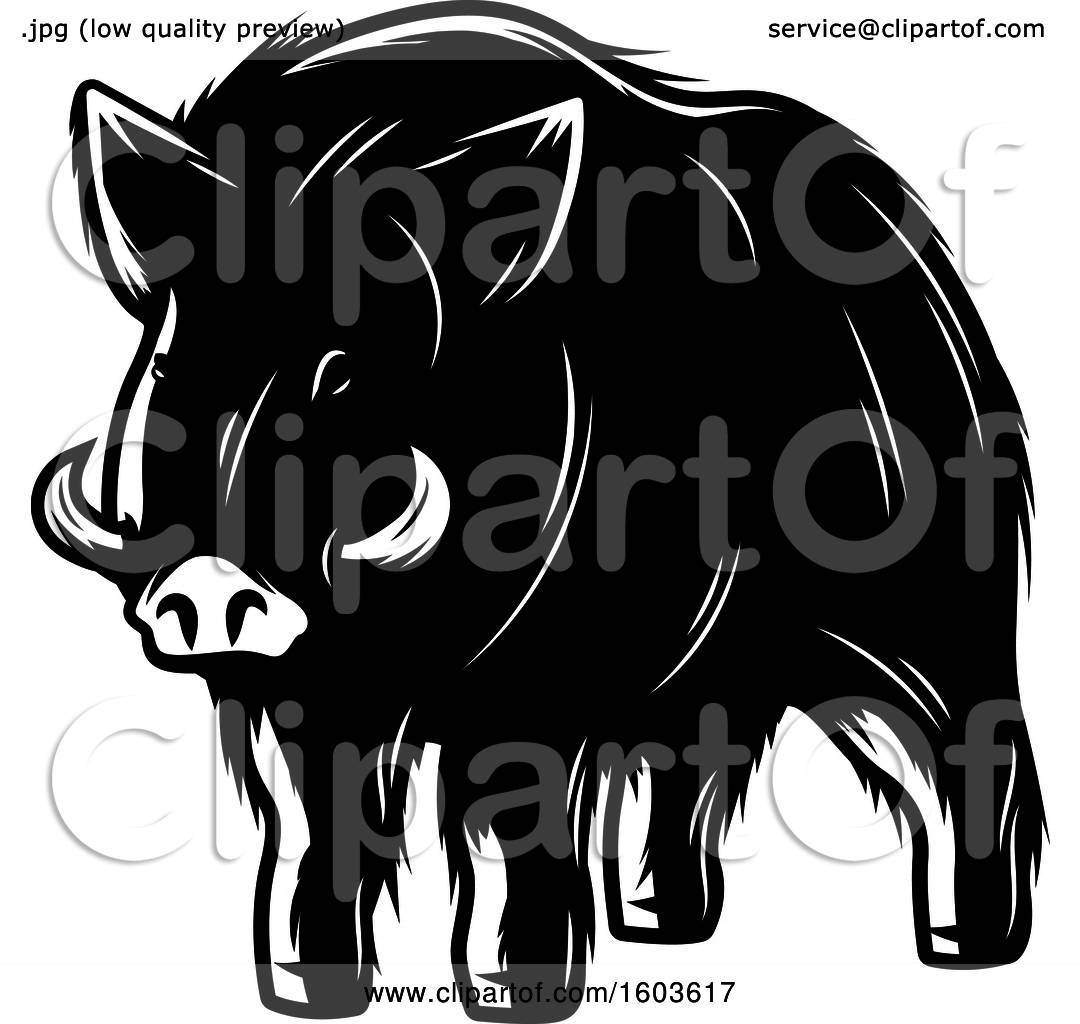 Clipart of a Wild Boar in Black and White - Royalty Free Vector