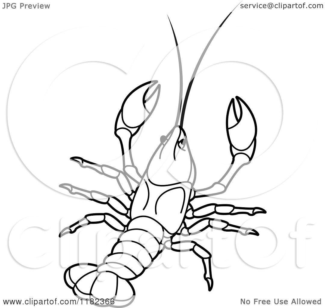 Clipart of an Outlined Crayfish - Royalty Free Vector Illustration by