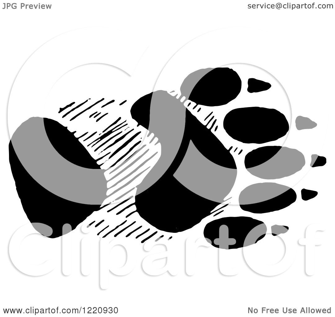 Clipart of Black and White a Black and White Bear Front Foot Track ...