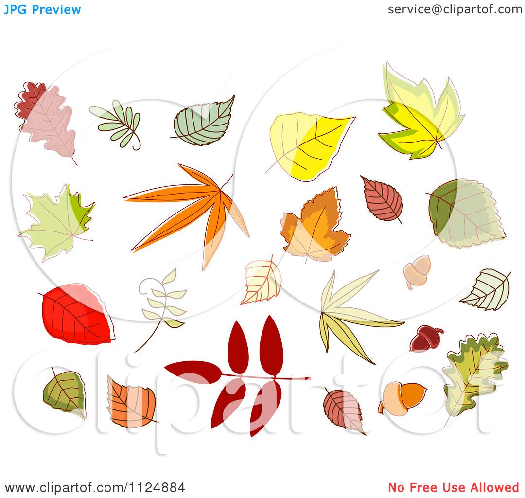 Clipart Of Fall Leaves - Royalty Free Vector Illustration ...