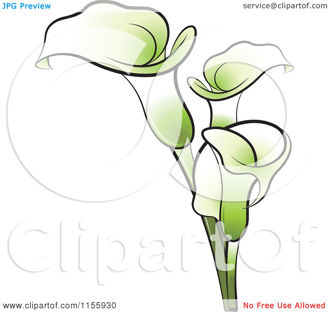 clip art calla lily flower - photo #23