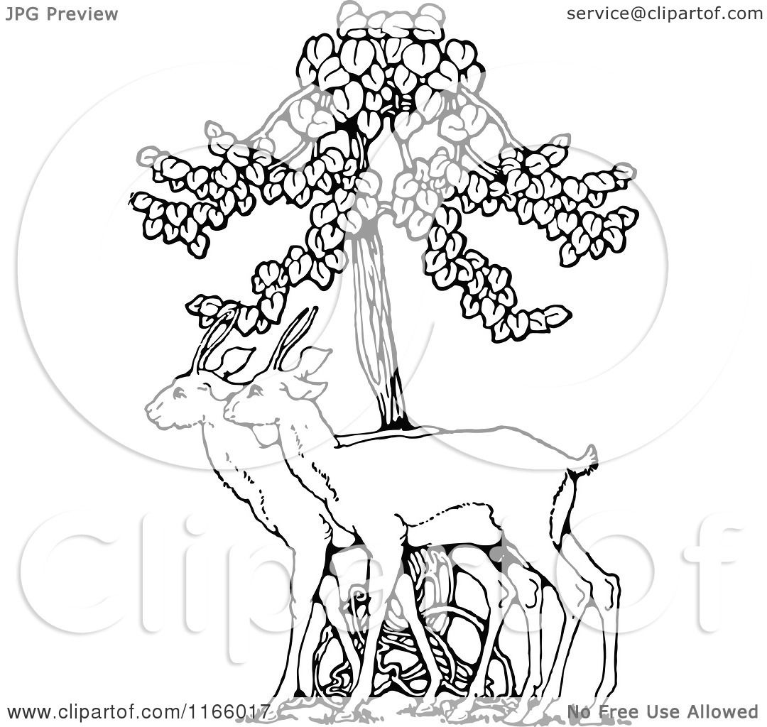 Clipart of Retro Vintage Black and White Deer Under a Tree ...