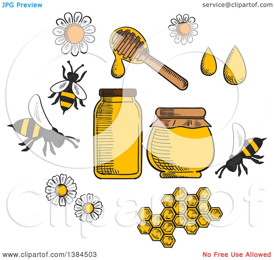 Download Clipart of Sketched Bees, Flowers and Honey - Royalty Free ...