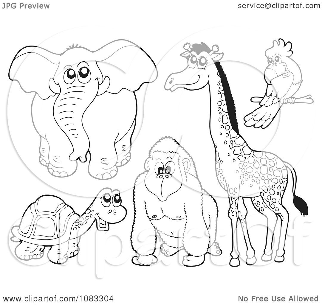 Clipart Outlined Elephant Tortoise Gorilla Giraffe And ...