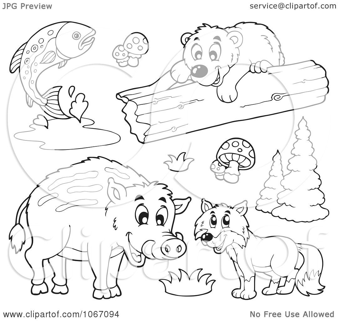 Clipart Outlined Forest Animals 1 - Royalty Free Vector Illustration by